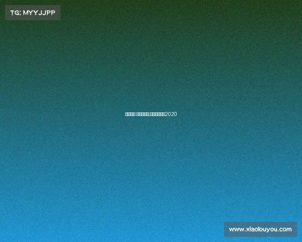 赛事大师 羽毛球助手;羽毛球大师赛2020